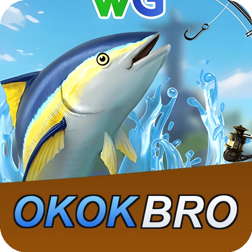 OKOKBRO feedback — categorias de sugestão e melhoria no app