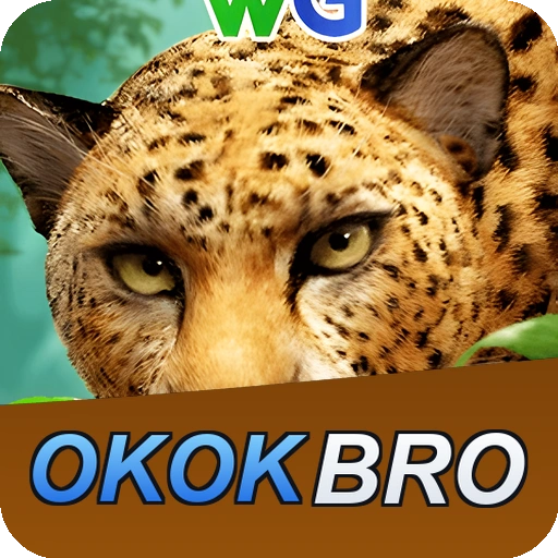 OKOKBRO bet — painel ao vivo com cotações dinâmicas